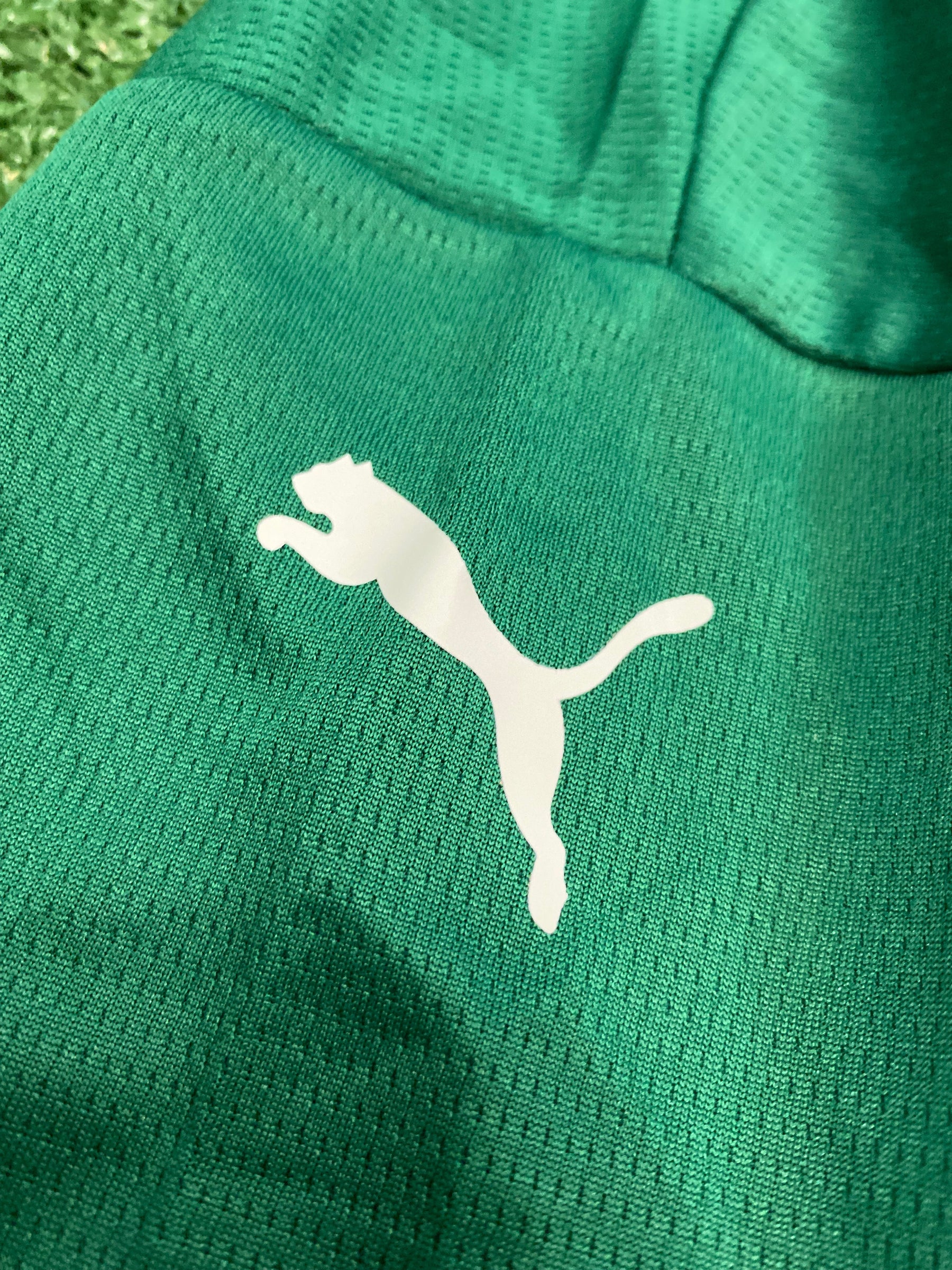 Camisa Palmeiras 25/26 - Super Mundial