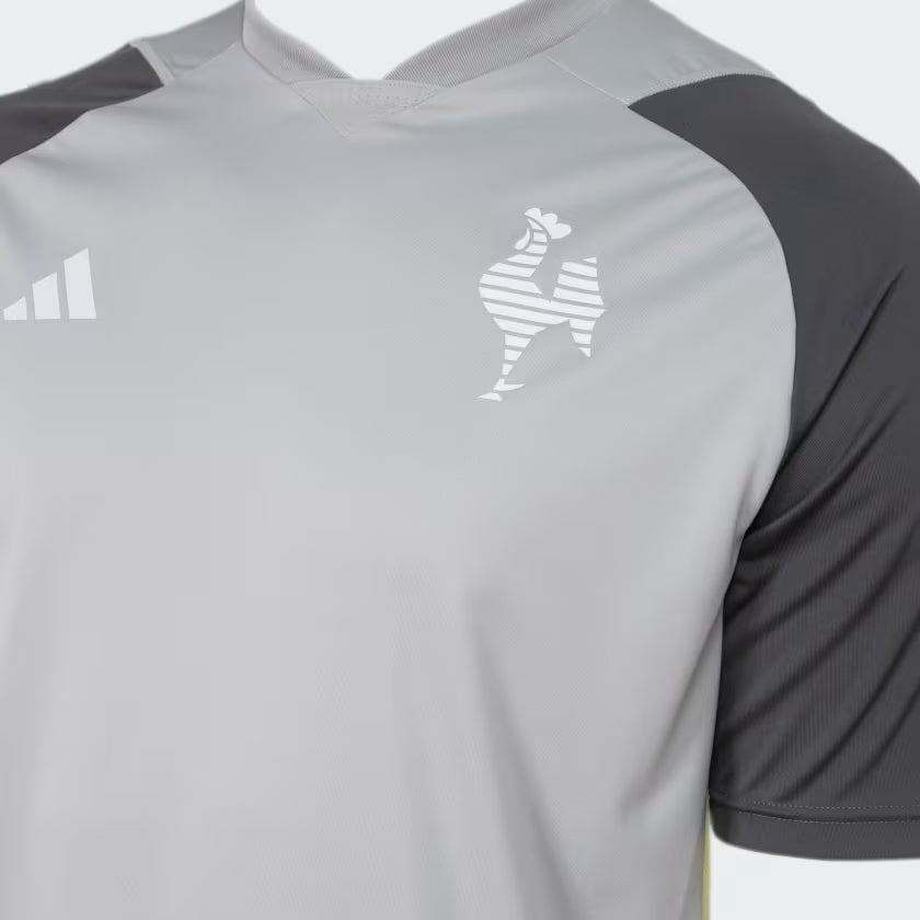 Camisa Atlﾃｩtico Mineiro Training 24/25