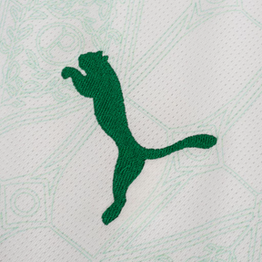 Camisa Palmeiras ll 25/26