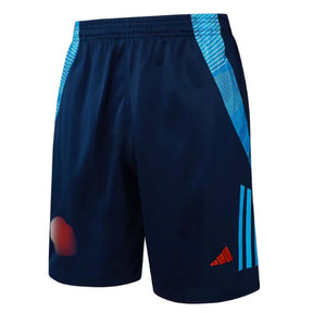 Conjunto CRF Flamengo Comissão Técnica Regata 25/26 - Azul