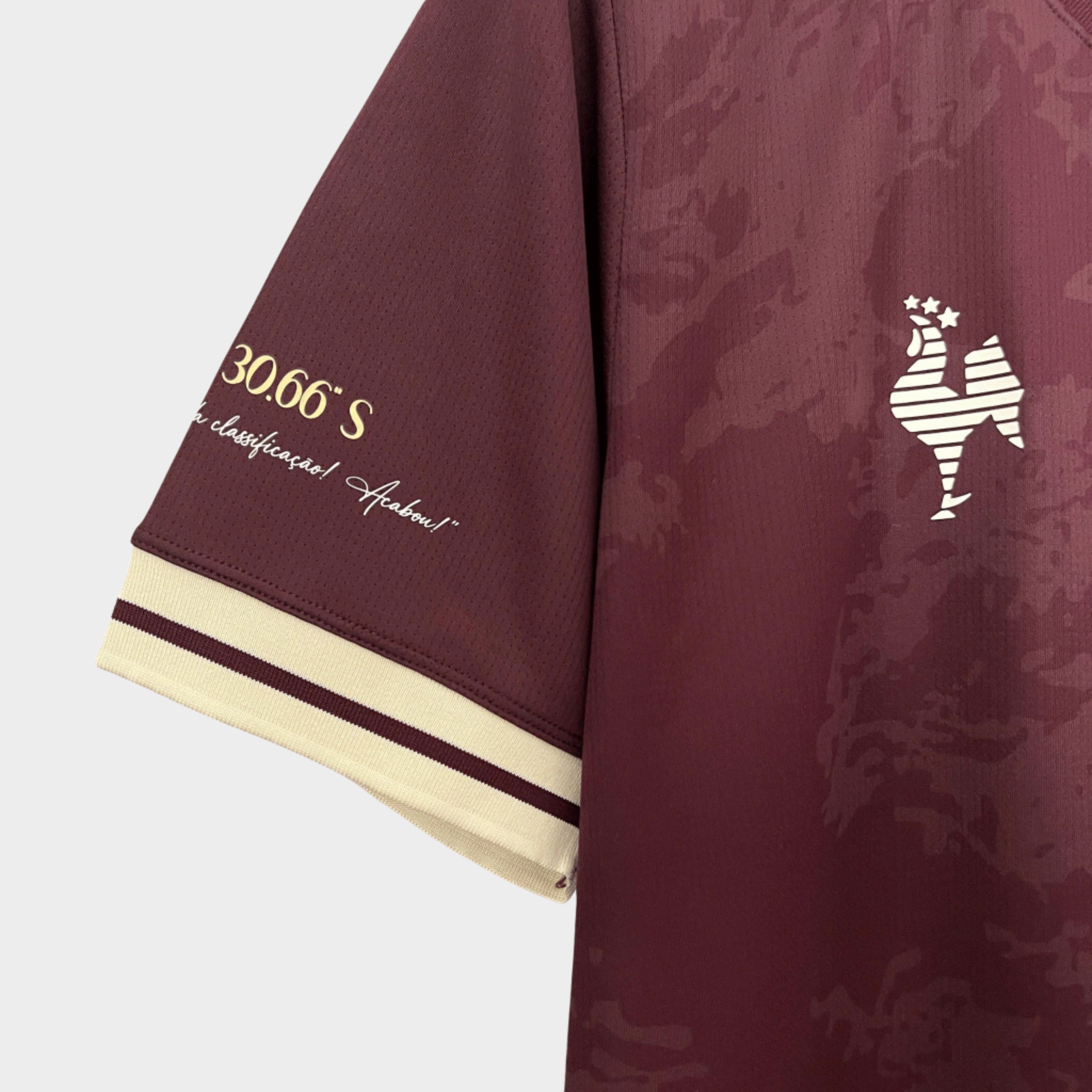 Camisa Atlﾃｩtico Mineiro Manto da Massa 24/25