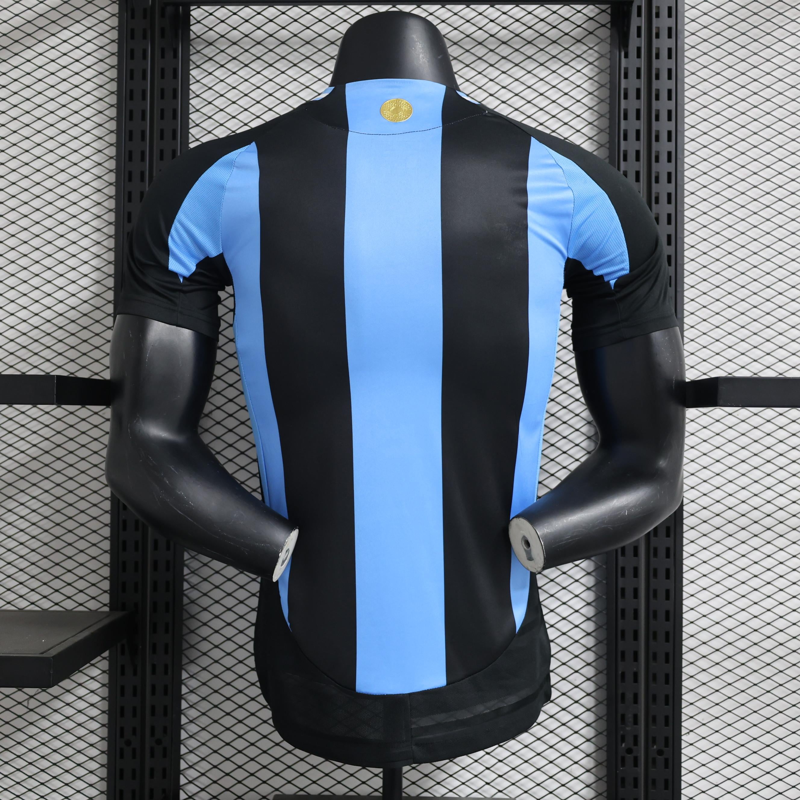 Argentina Edicion especial I Camiseta 2024/25 - Version Jugador