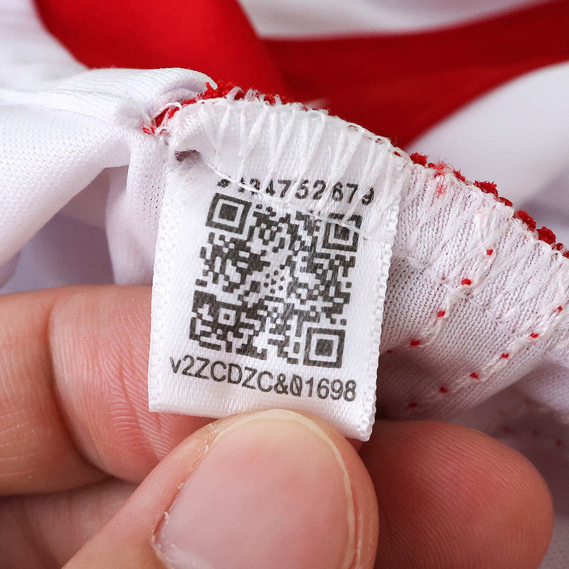 Benfica 25/26 Third Jersey