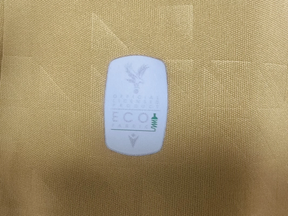 Crystal Palace Player Away Eagle Gold Jersey 2025/26