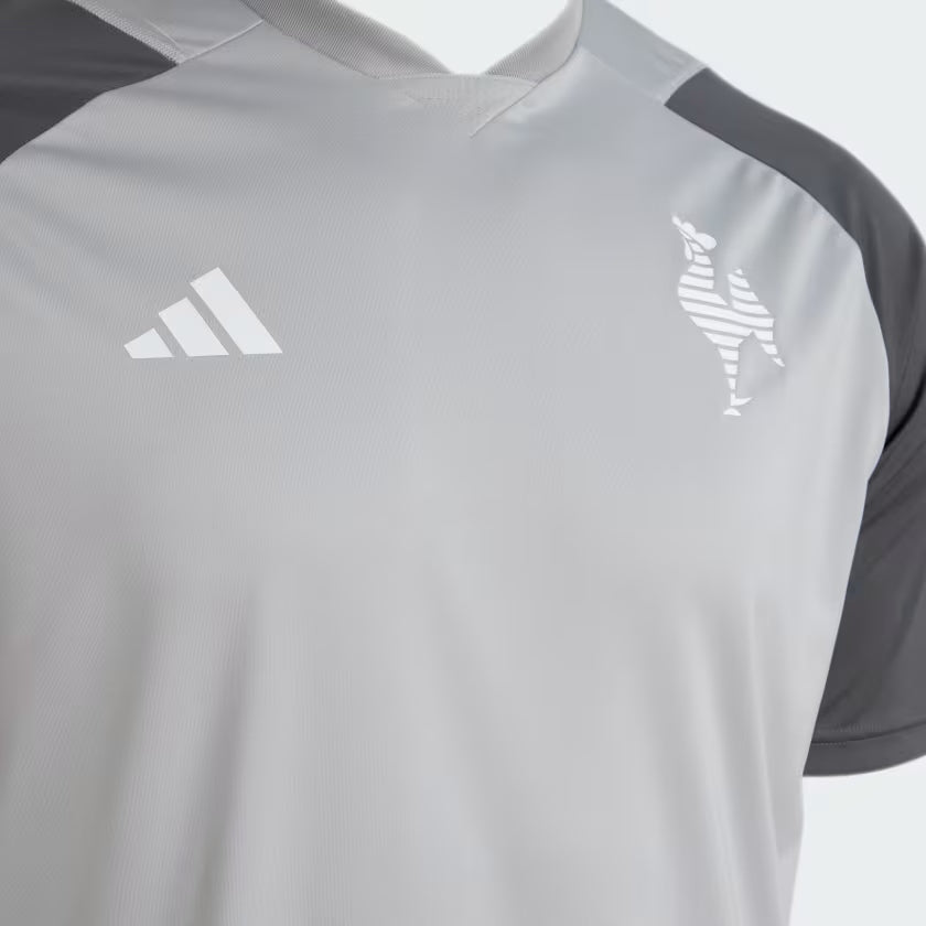 Camisa Atlﾃｩtico Mineiro Training 24/25